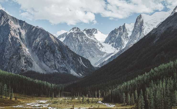 GA黄金甲-齐耶赫的2026世界杯之梦：终章还是新生？